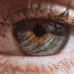 Krem Karamel Tarifi: Lezzetli ve Pratik Bir Tatlı Deneyimi